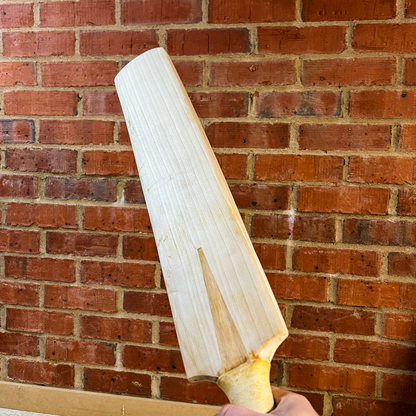 Cricket bat clean up service – image 3