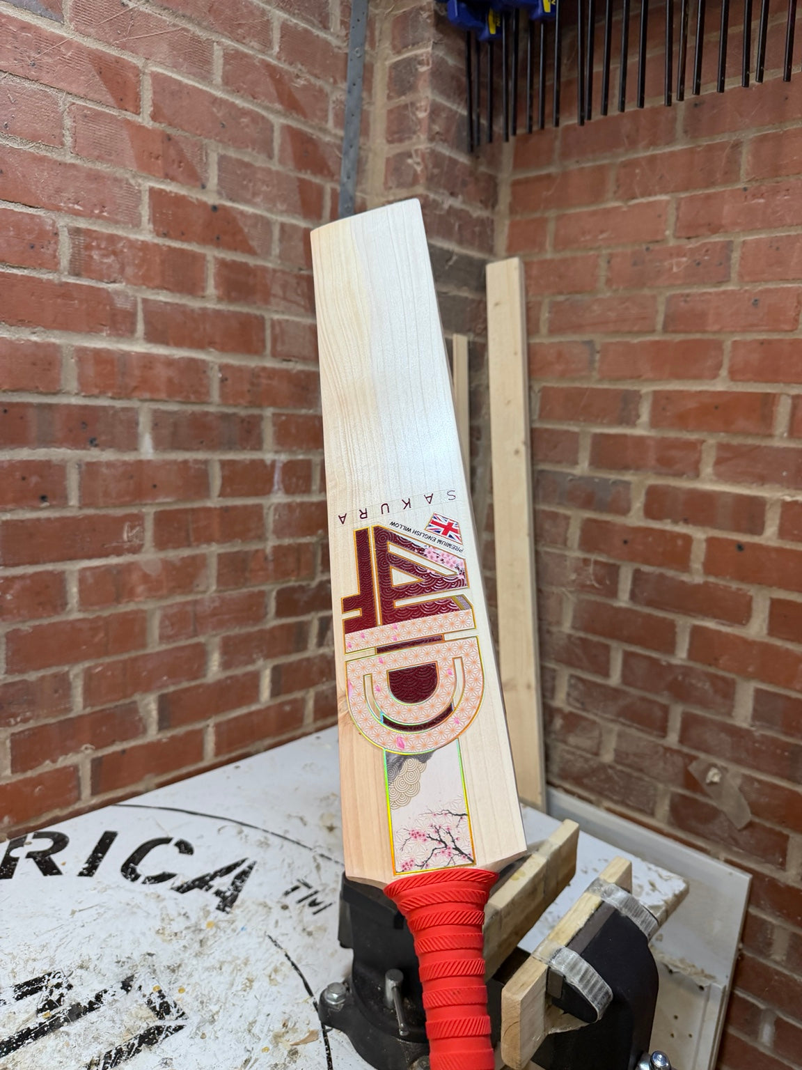 4D Sakura #023 Grade 2 English willow cricket bat front angle