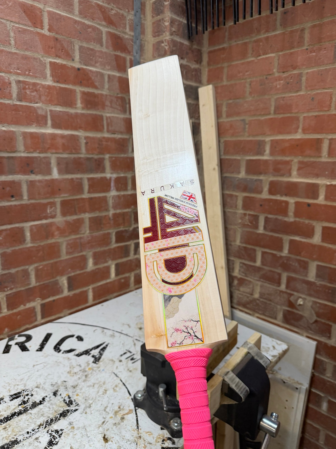 4D Sakura #024 Grade 3 English willow cricket bat front angle