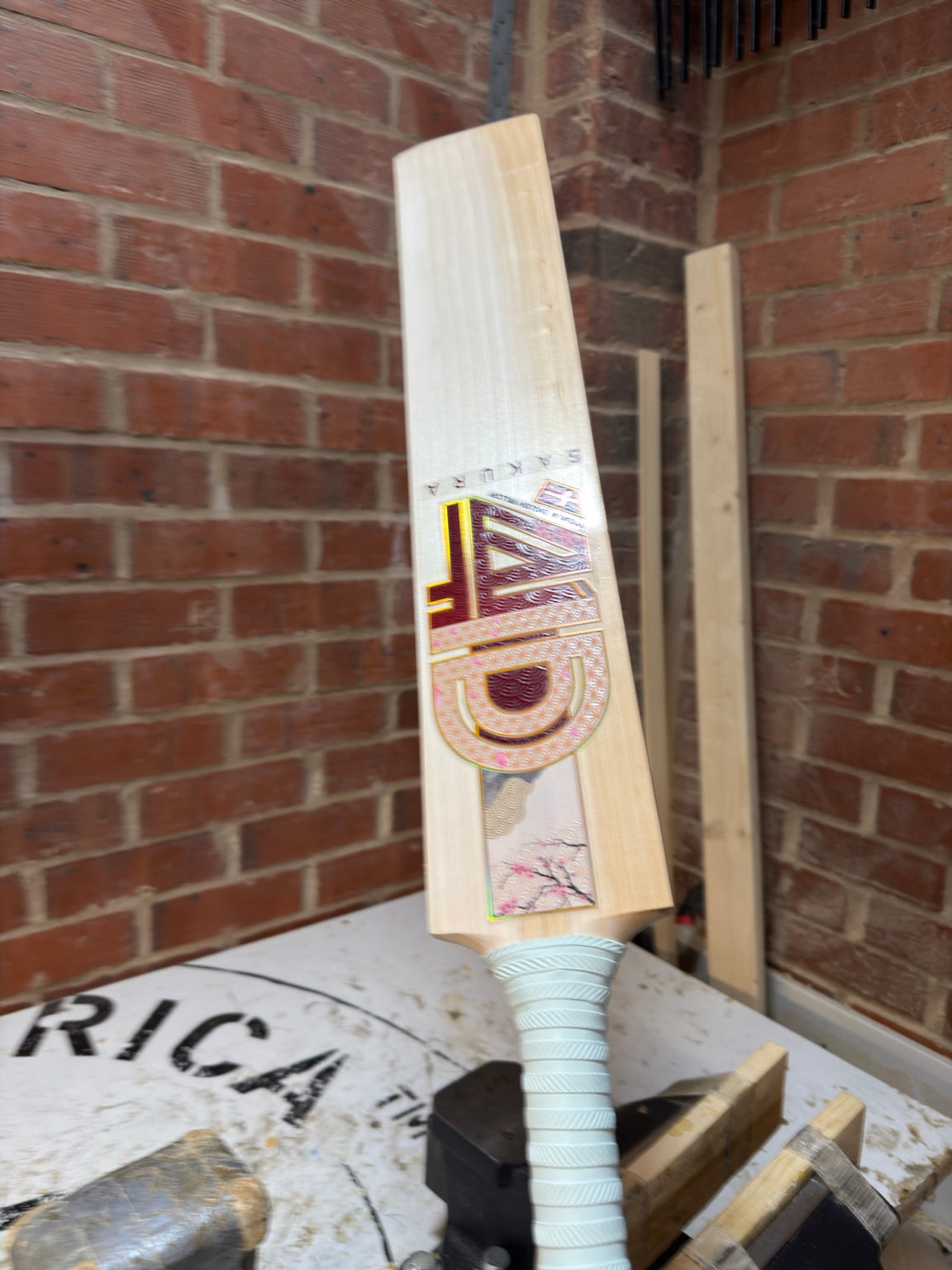 4D Sakura #025 Grade 2 English willow cricket bat rear angle