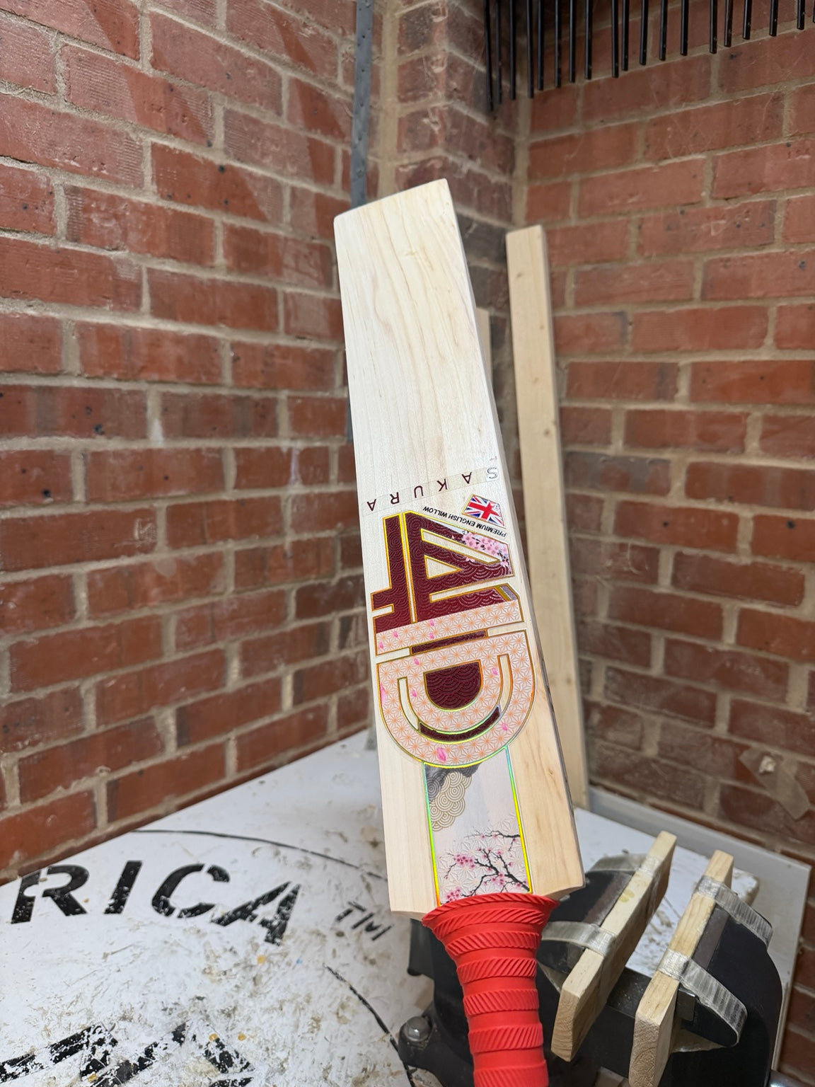 4D Sakura #5J004 Size 5 Grade 3 English willow cricket bat face view